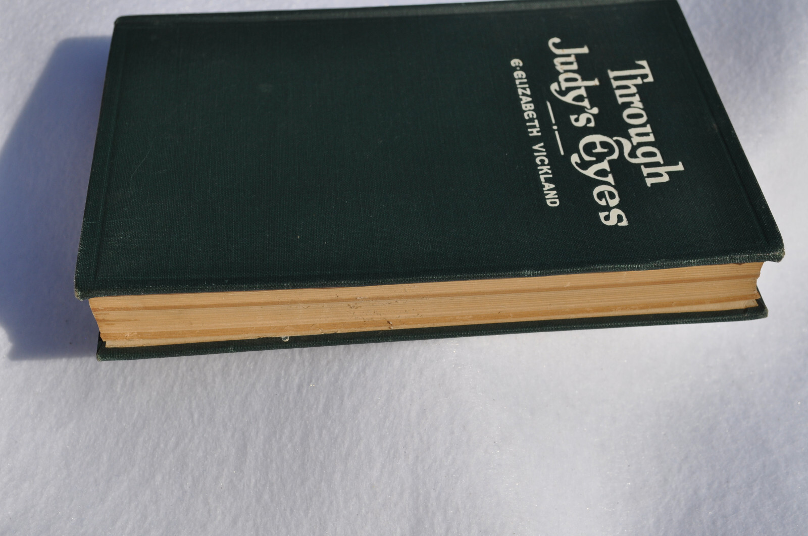 Through Judy’s Eyes; E. Elizabeth Vickland; Judson Press 1924-Christian Missions