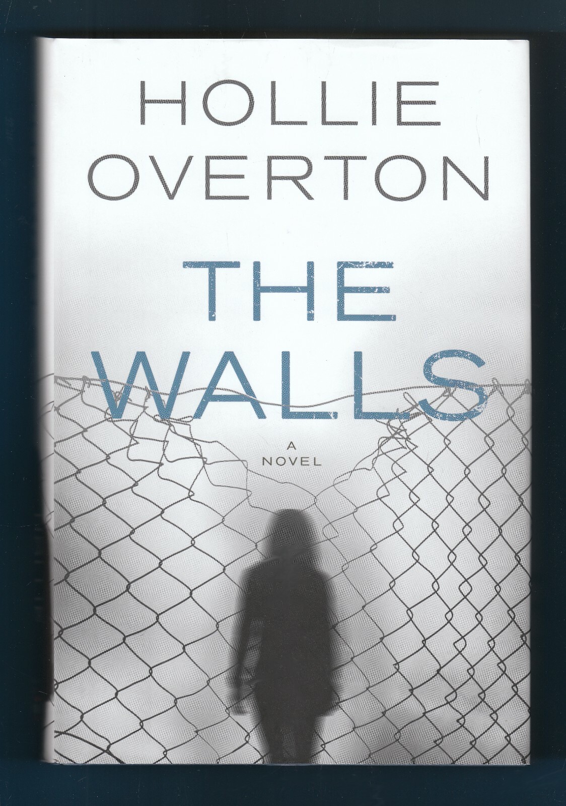 The Walls by Hollie Overton (2017, Hardcover)