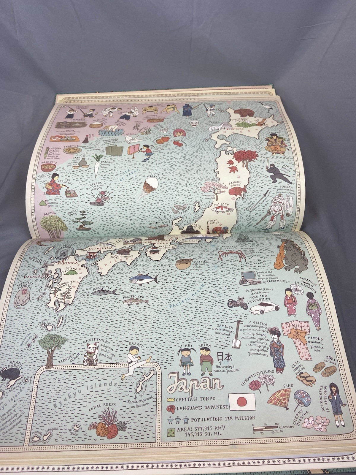Maps By Aleksandra Mizielinksa Daniel Mizielinski – Big Picture Press Hardcover