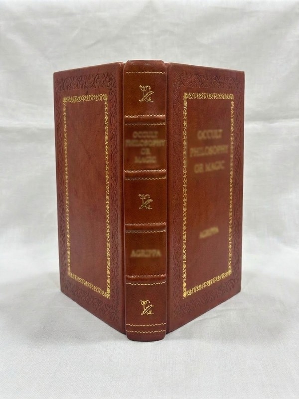 Common Sense by Thomas Paine (Leather Bound)