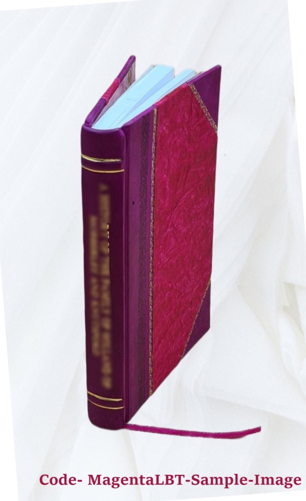 Natty A Spirit His Portrait And His Life 1856 By Allen Putnam [Leather Bound]