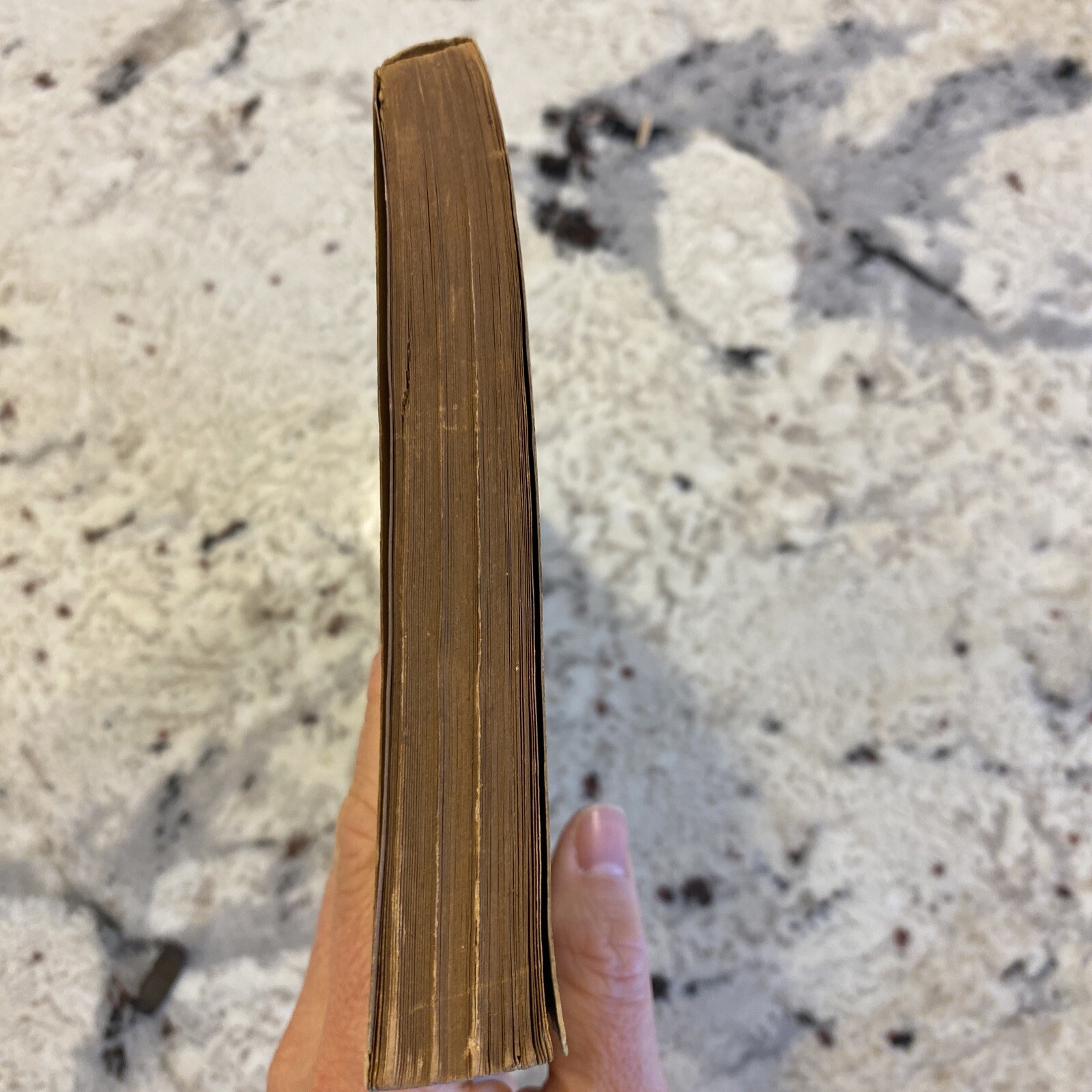 Samantha Among the Brethren Marietta Holley Josiah Allen’s Wife SOFT COVER 1897