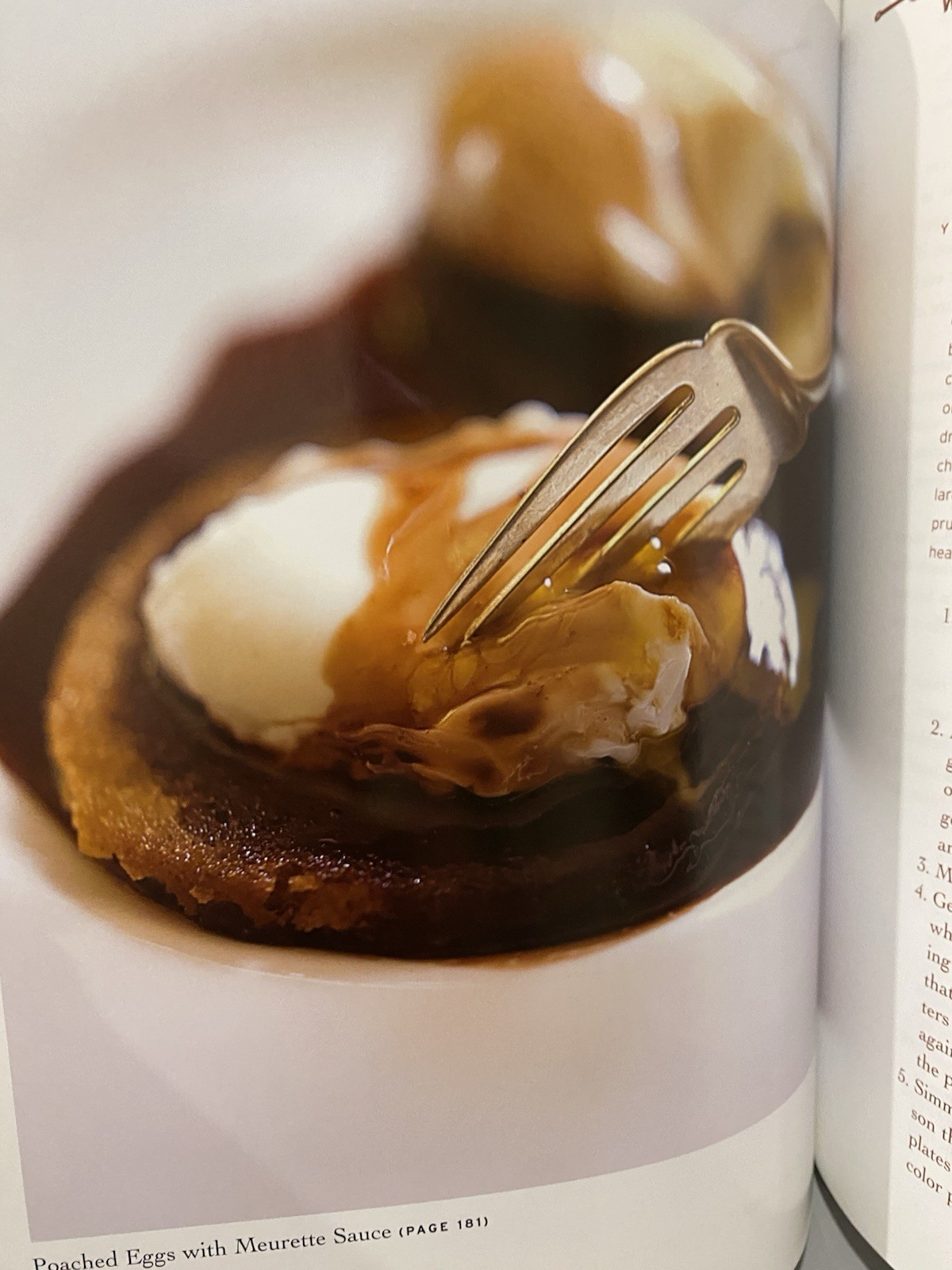 Sauces Classical and Contemporary Sauce Making Third Edition James Peterson HC