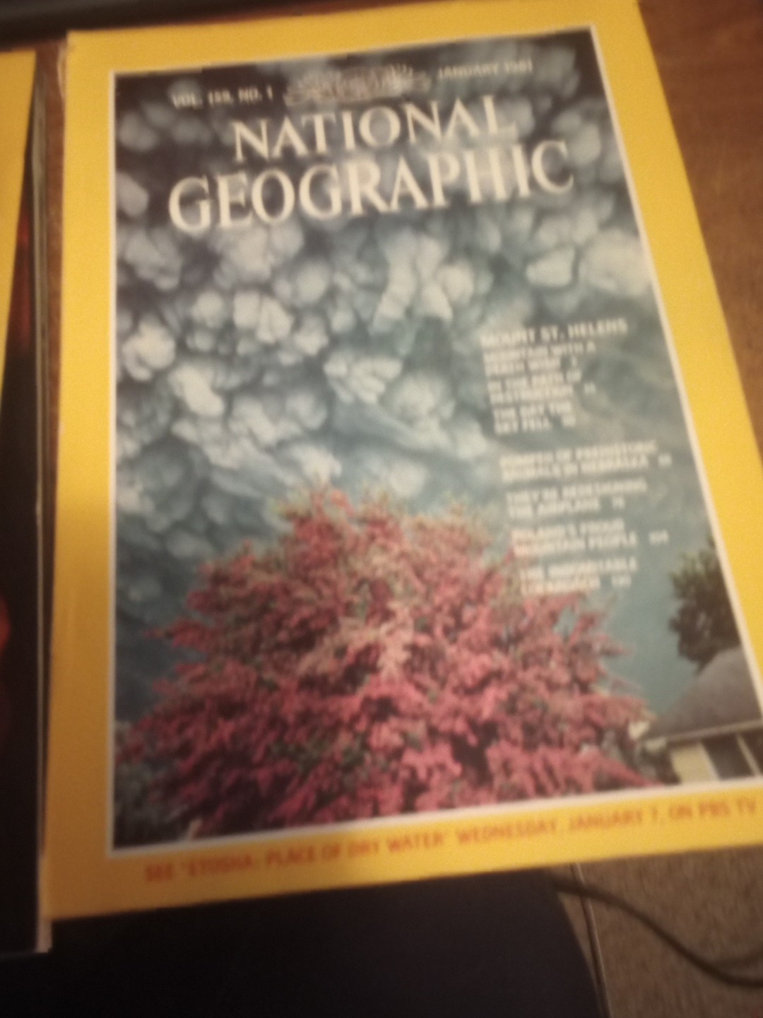 National Geographic Magazines 1976- 1983 You Pick The Issues 2.50-4.00