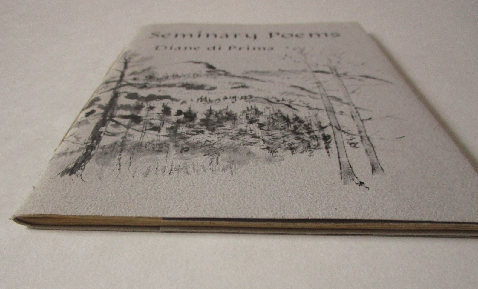Seminary Poems By Diane Di Prima chapbook 1991 PB Kobun Chino Roshi cover art