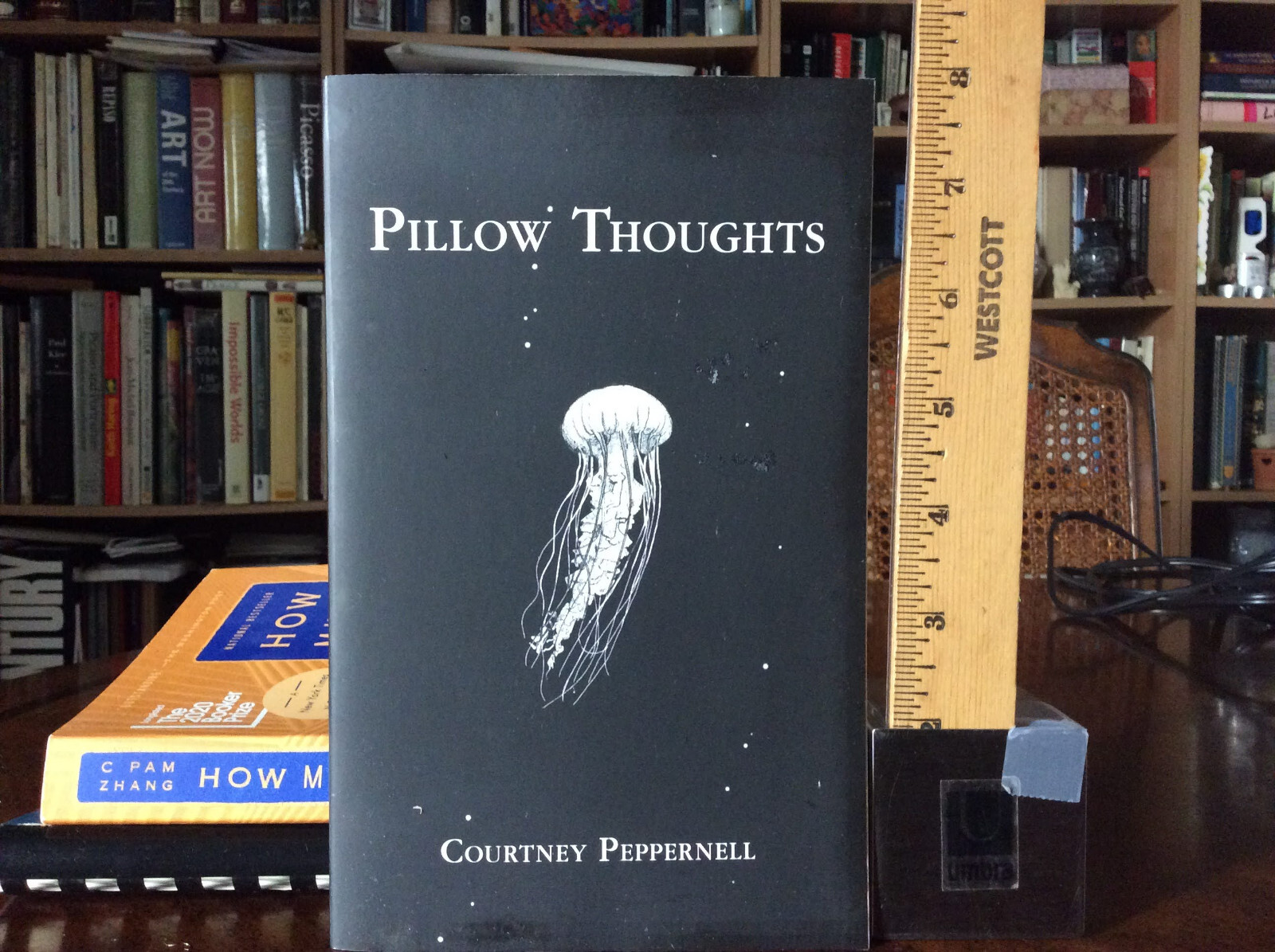 Pillow Thoughts : Peotry by Peppernell, Courtney 2017 Papperback LIKE NEW