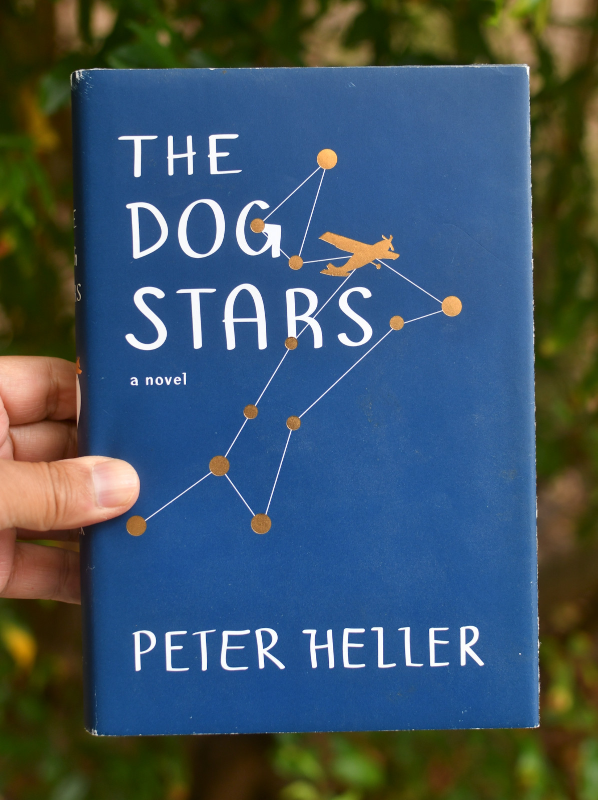 Dog Stars Peter Heller  Hardback: 2012 First Edition Publisher: Borzoi