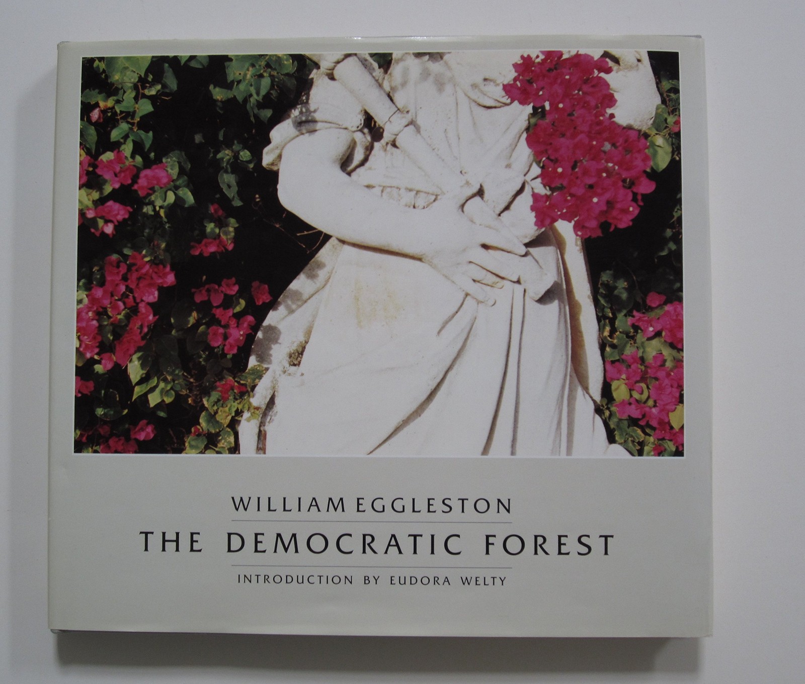 The Democratic Forest