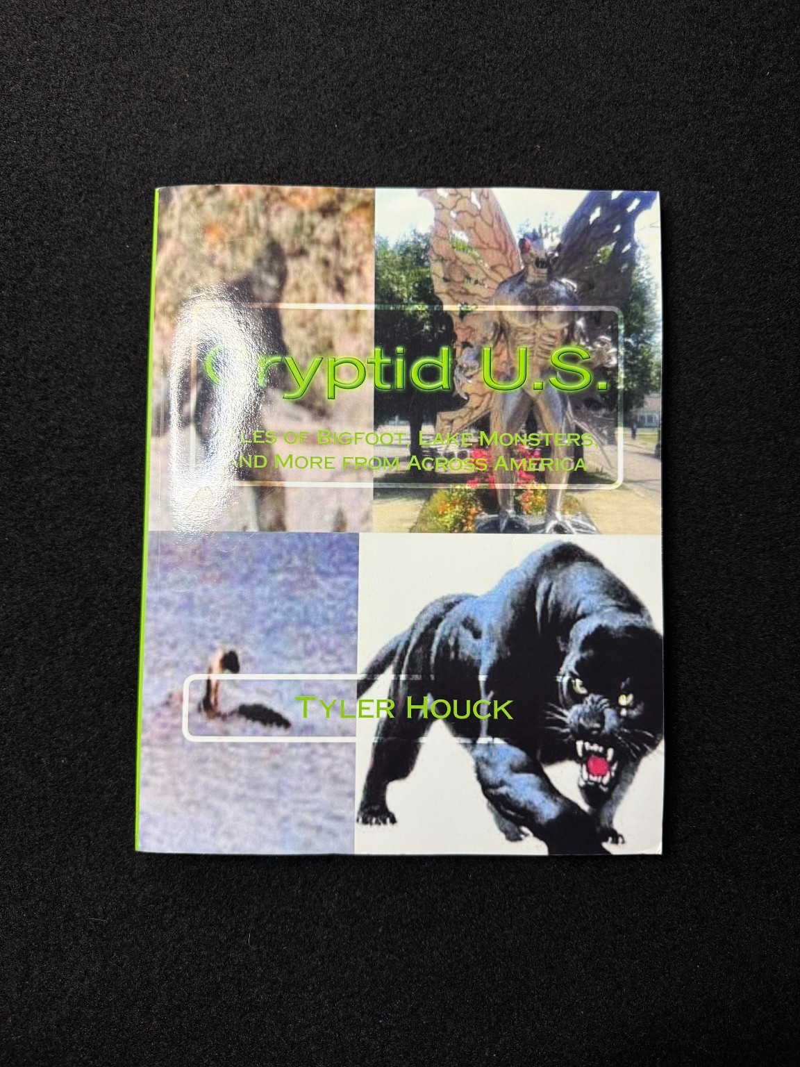 Cryptid U.S. Tyler Houck Bigfoot Lake Monsters Paranormal 2019 PB