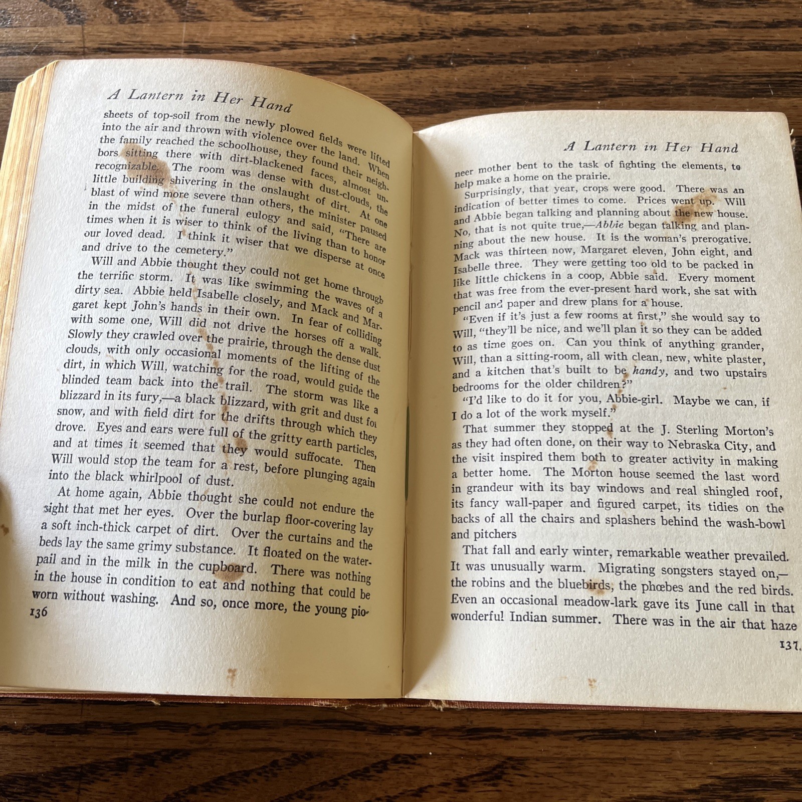 A LANTERN IN HER HAND Bess Streeter Aldrich Early Edition 1928 Grosset & Dunlap