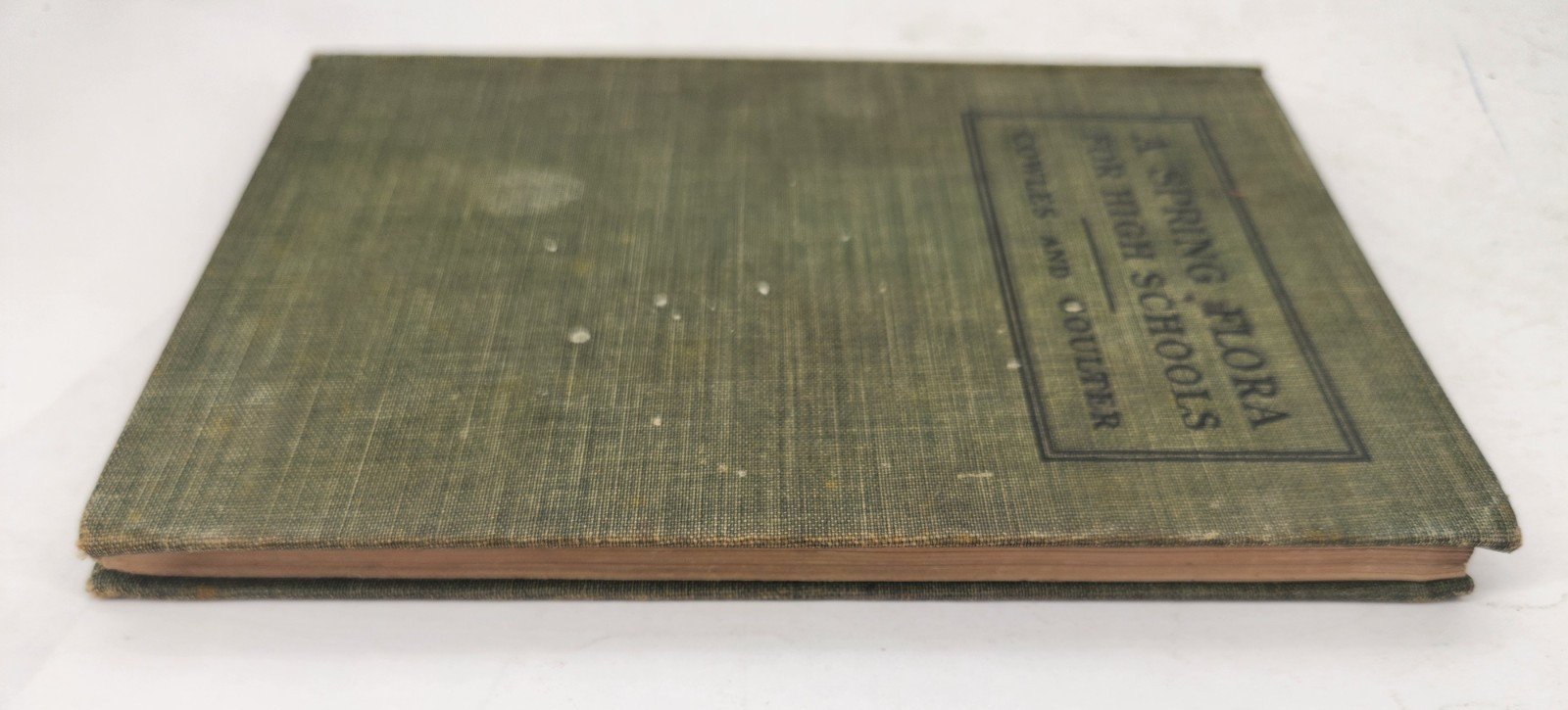 A Spring Flora for High Schools, 1915, HB, Illustrated, by Cowles & Coulter