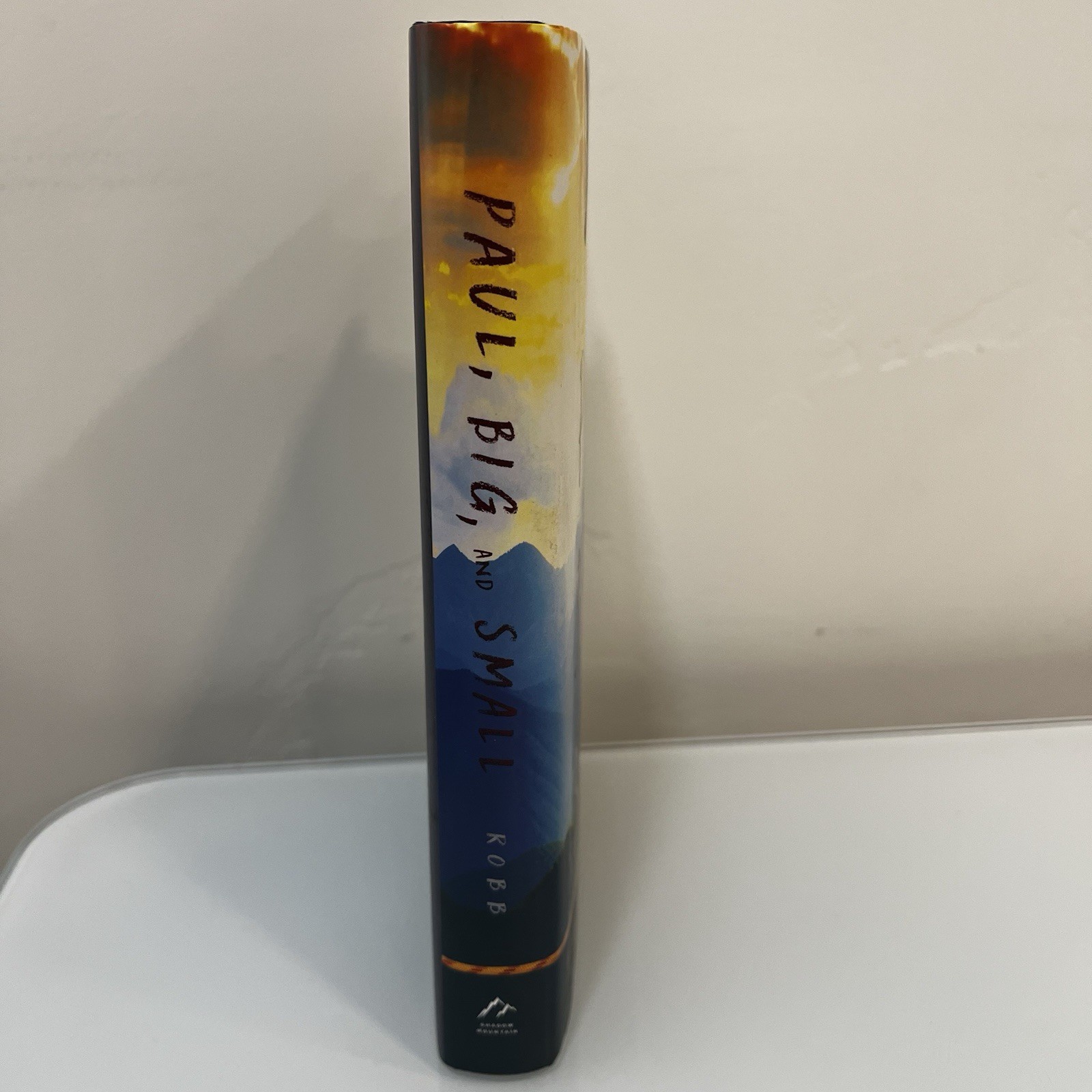 Paul, Big, and Small by David Glen Robb (2019, Hardcover) Brand New