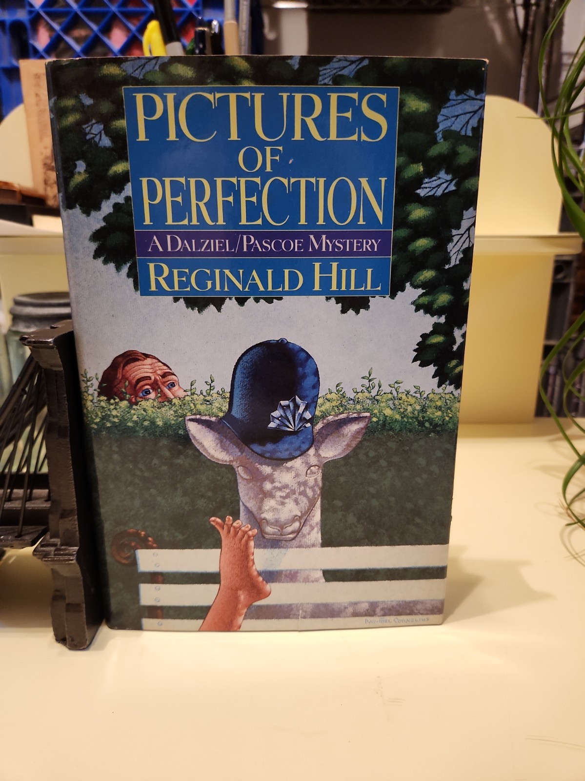 SIGNED BY AUTHOR 1ST EDITION PICTURES OF PERFECTION REGINALD HILL COLLECTIBLE F3