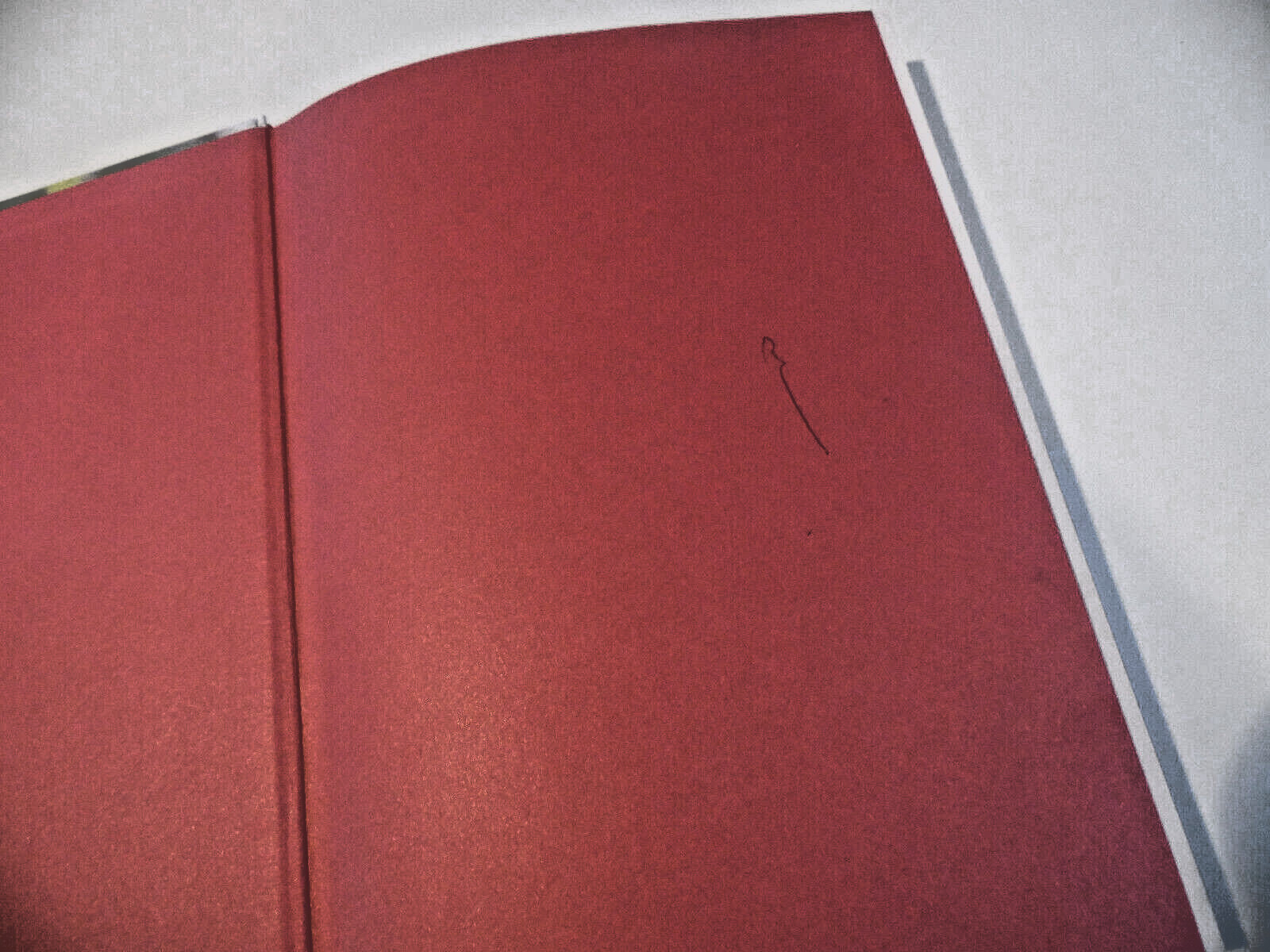* Signed* Advanced Style by Ari Seth Cohen Signed First Edition/5th print -used