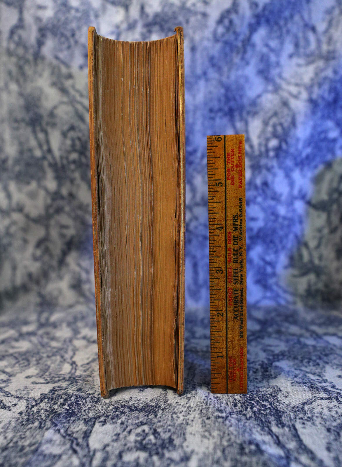 [Sh12] Fine Binding Zaehnsdorf, 1848, Adventures of Oliver Goldsmith, J Forster