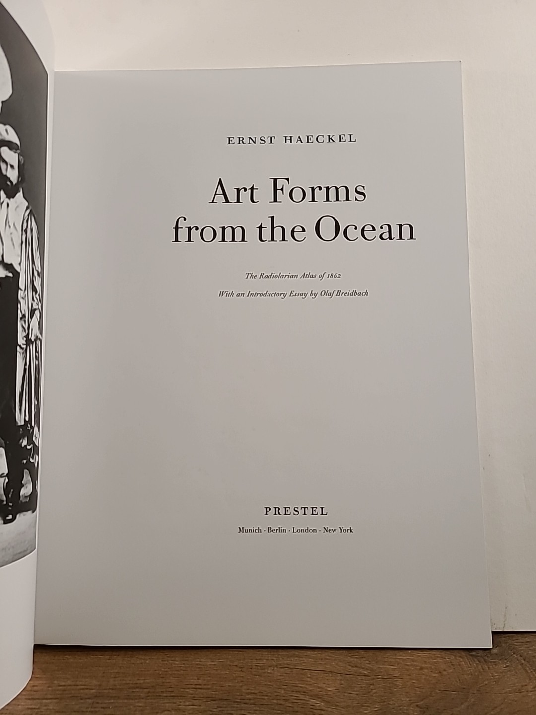 Art Forms from the Ocean : The Radiolarian Prints of Ernst Haeckel by Olaf…