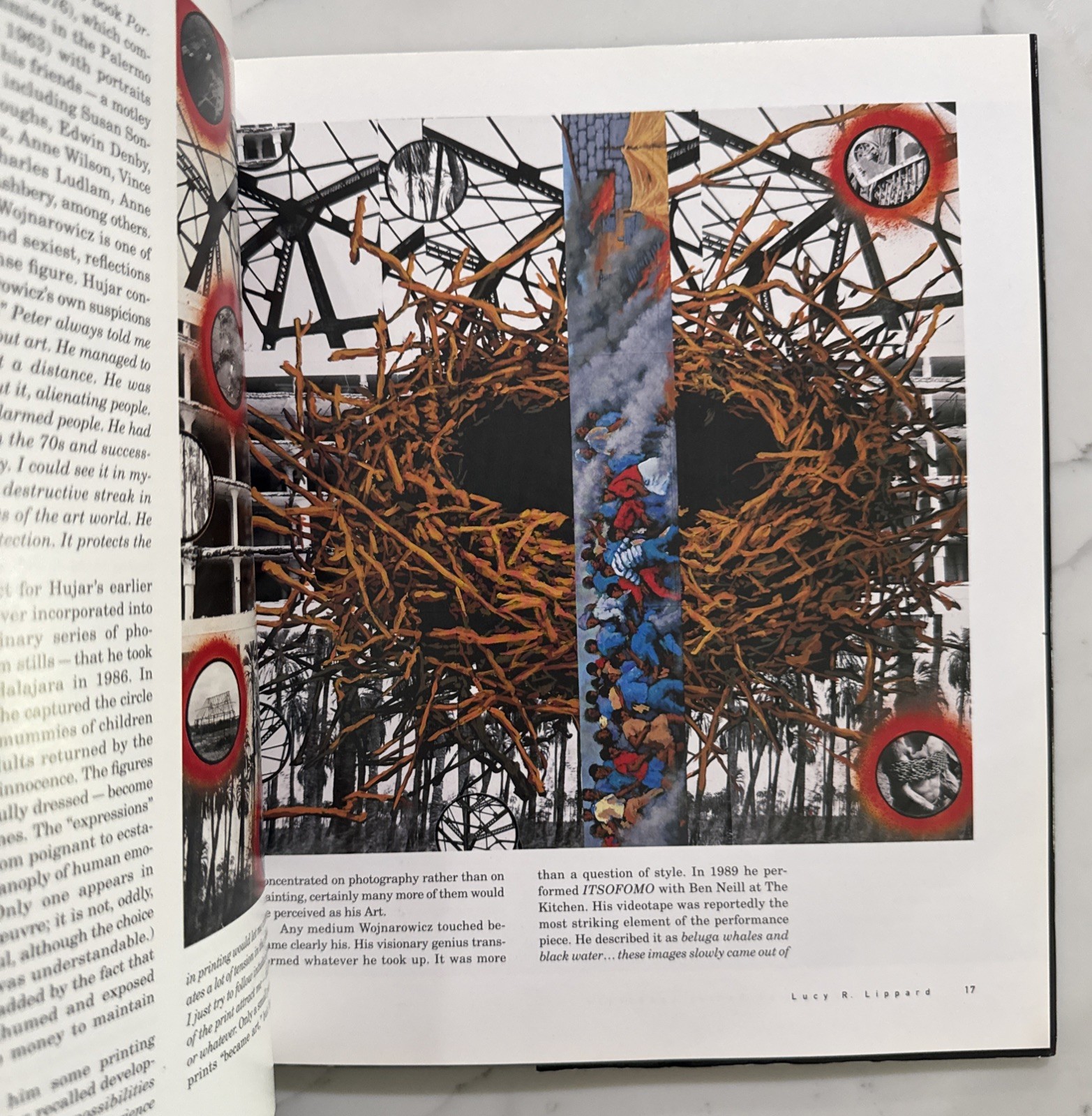 David Wojnarowicz : Brushfires in the Social Landscape (Hardcover, 1st/1st 2002)