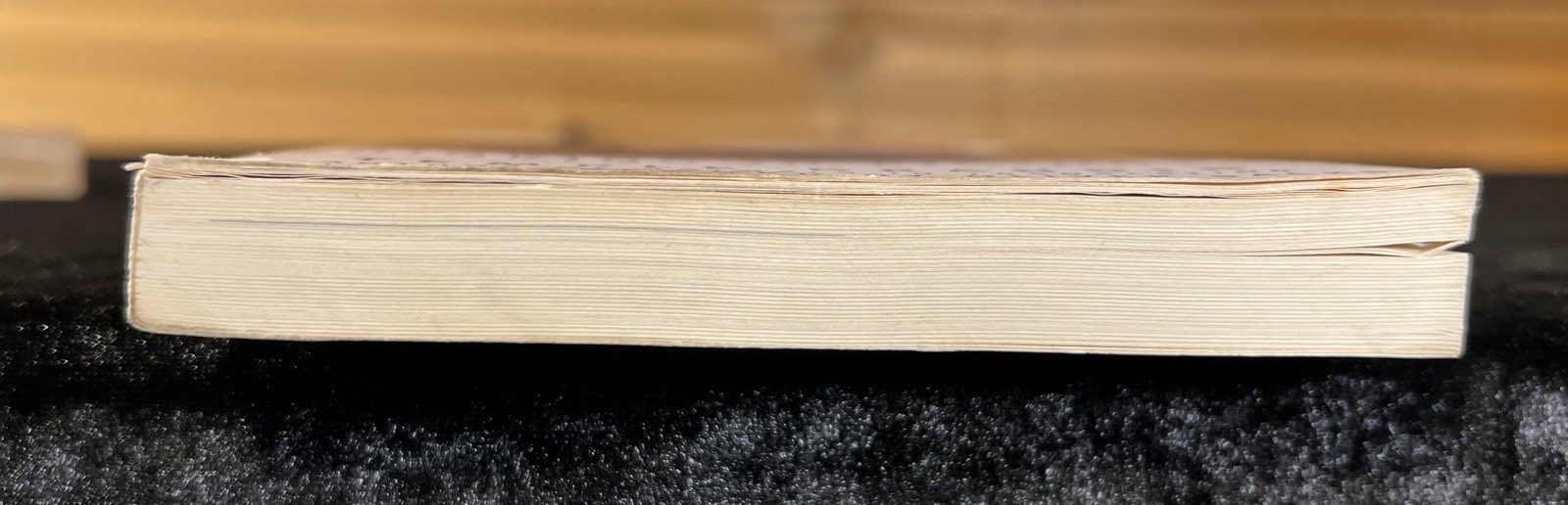 SIGNED ‘Thinking in Pictures’ — Temple Grandin (Expanded Edition Softcover)