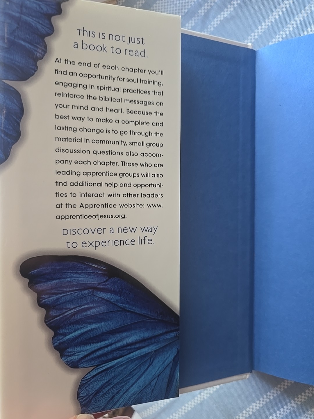 The Good and Beautiful LIFE ~ Apprentice Series ~ James Bryan Smith