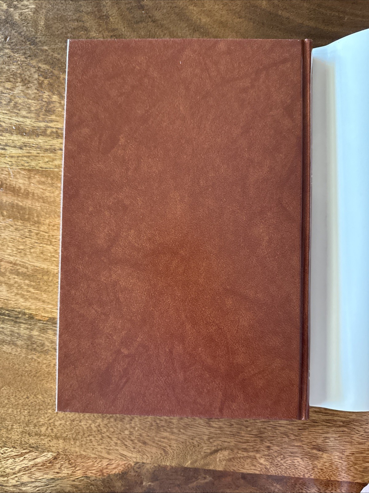 Rich Grass and Sweet Water – John Lincoln (1989, 1E, HB+DC)
