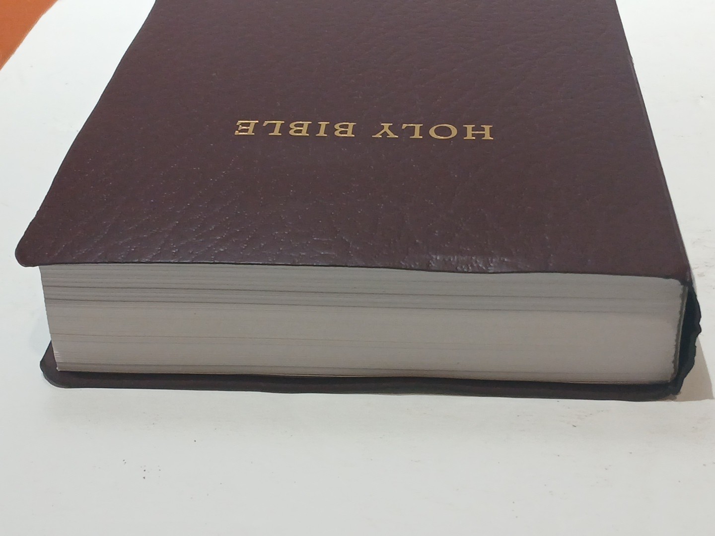 Holman HCSB Gift and Award Bible 2009 Burgundy Faux Leather Christian Standard