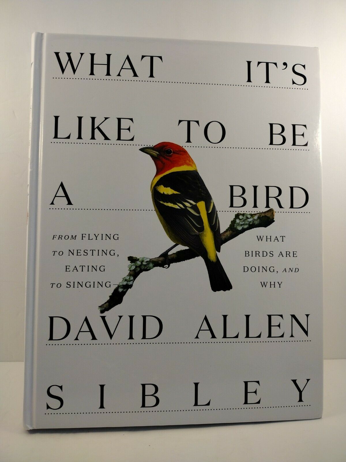 What It’s Like to Be a Bird by David Allen Sibley (2020, Hardcover)