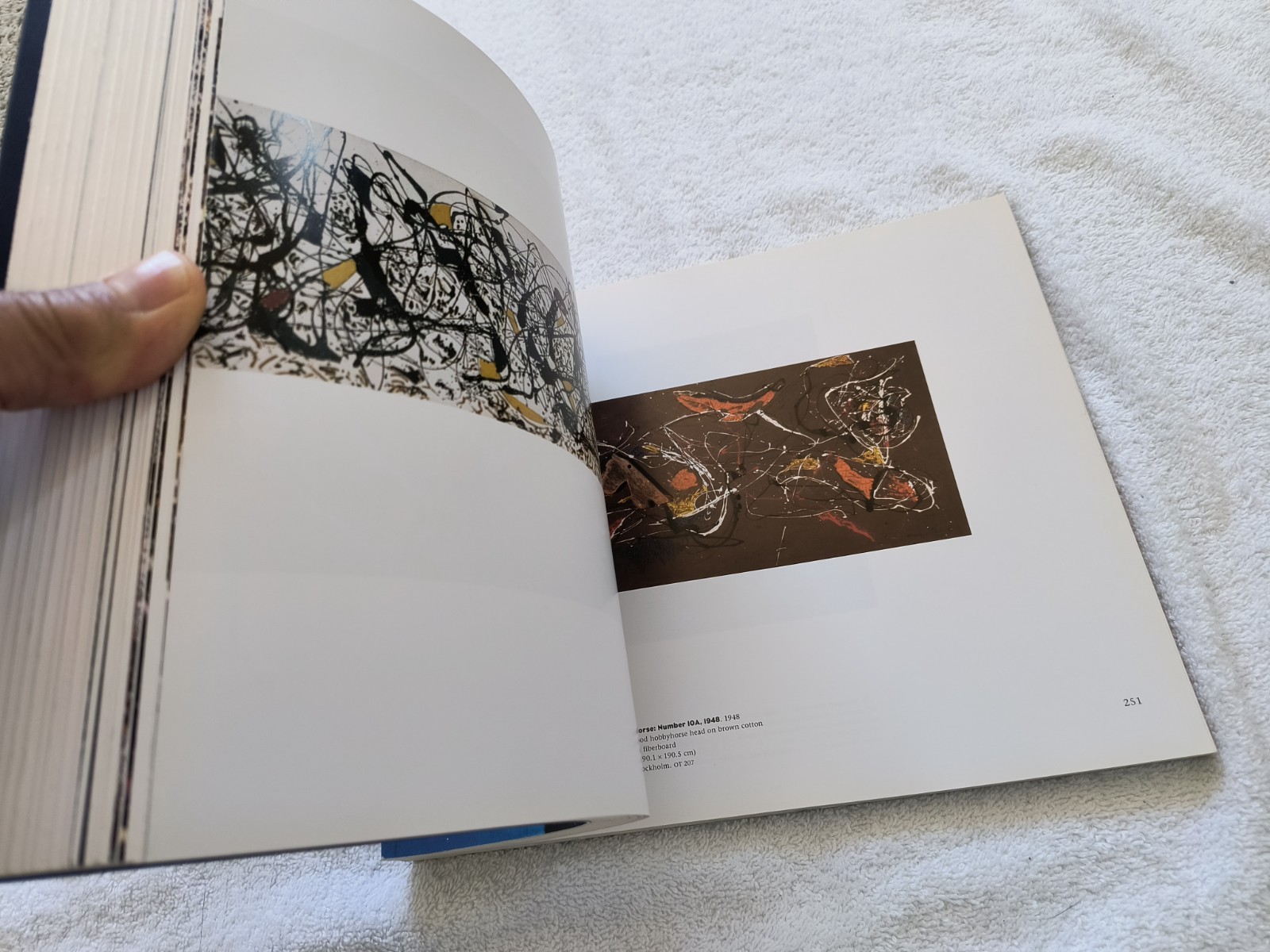 Jackson Pollock (1998 Paperback) Fine Arts Museum of Modern Art American Artist