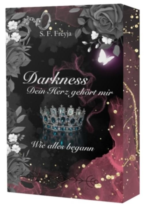 Darkness: Dein Herz gehört mir – Wie alles begann ~ S. F. Fr … 9783690283809