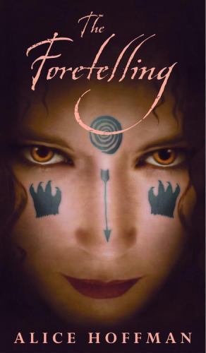 The Foretelling – hardcover, 0316010189, Alice Hoffman