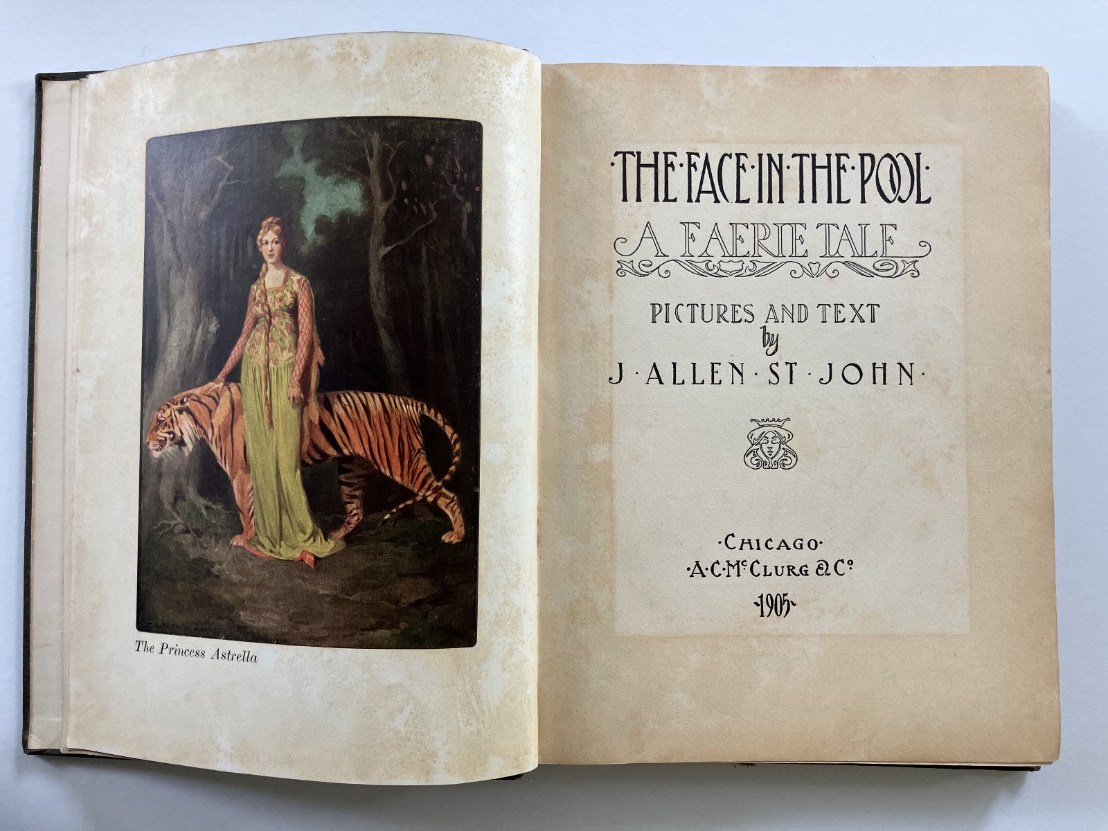 The Face In The Pool: A Faerie Tale, J. Allen St. John, 1st Ed, 1905, Signed