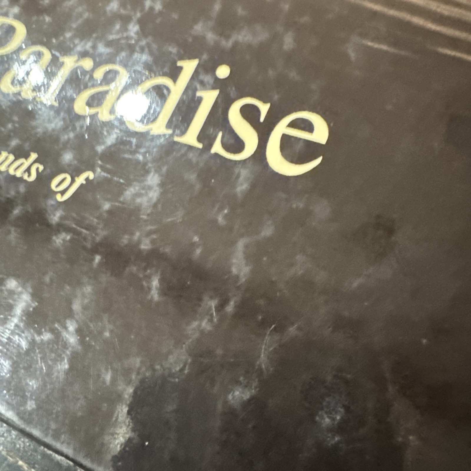 Louisiana Paradise: The Chenieres & Wetlands of SW LA – SIGNED 1988 HC PO-VG++