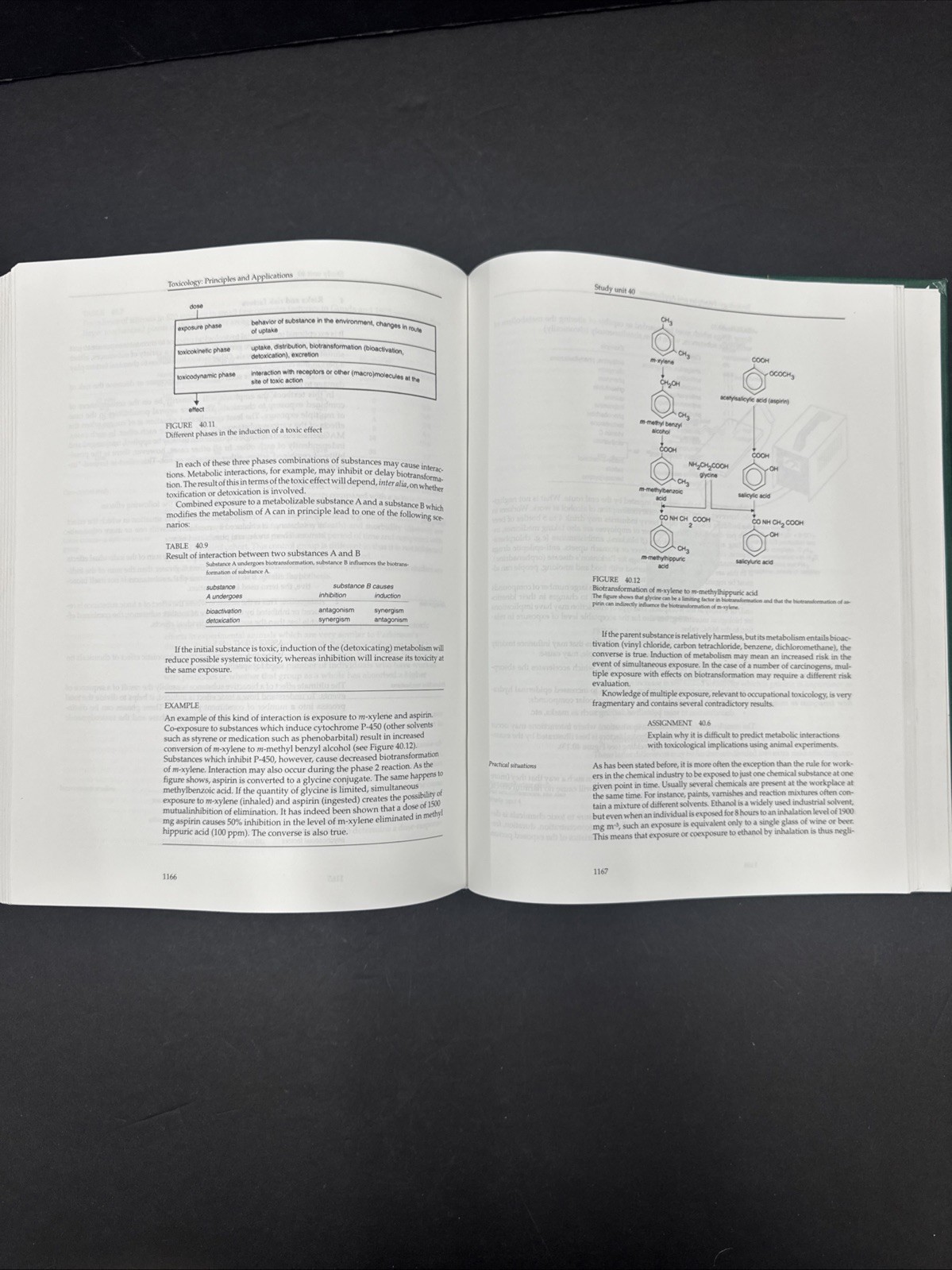 Toxicology Principles & Applications by Niesink, Vries, Hollinger Hardback 1996