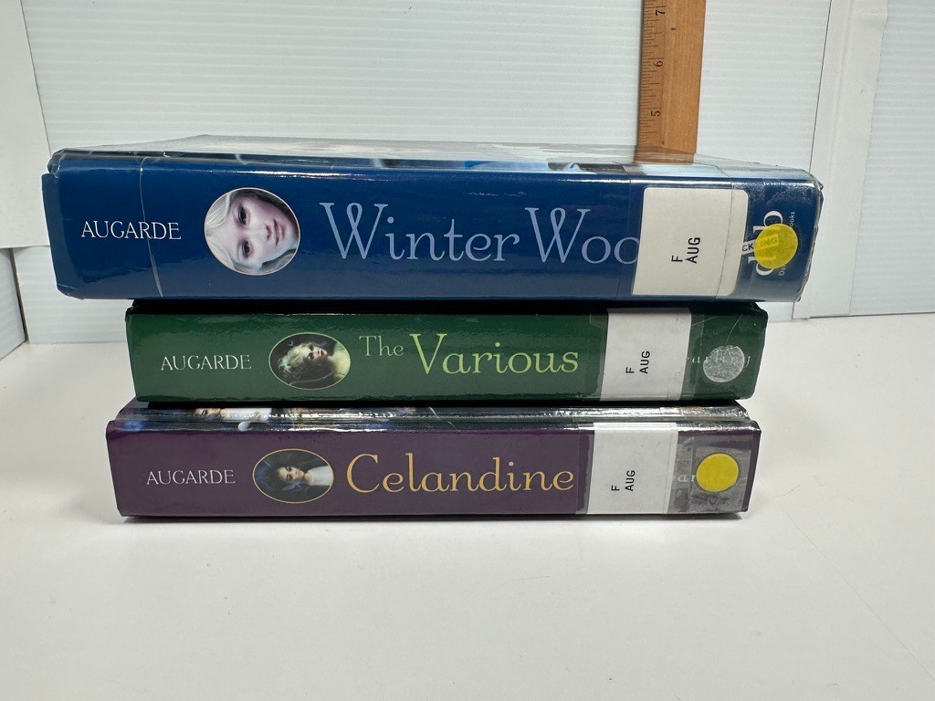 The Touchstone Trilogy set Books Ex-Lib Teacher Homeschool Reading HC Augarde