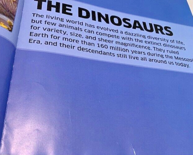 Dinosaurs Book Prehistoric Creatures 1st Ed Table Room Decor Staging Illustrated