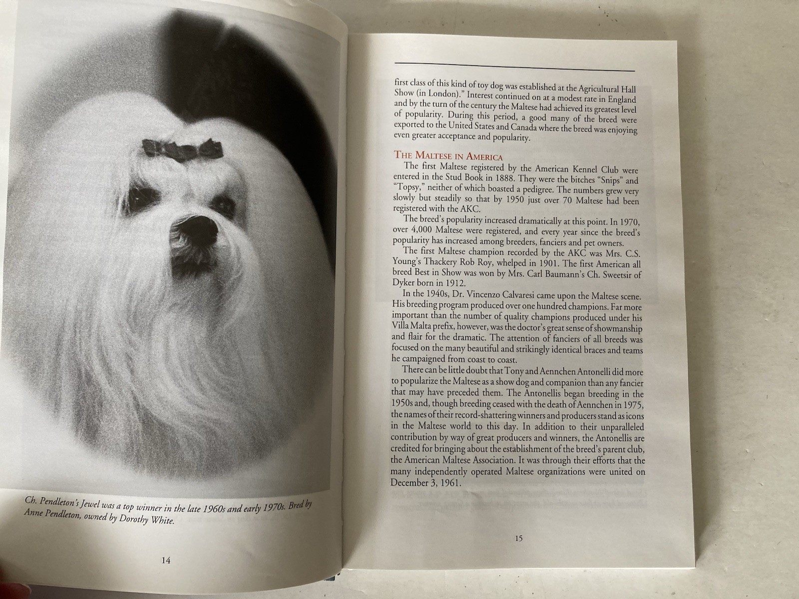 A New Owner’s Guide to Maltese by Vicki Abbott Hardcover Book