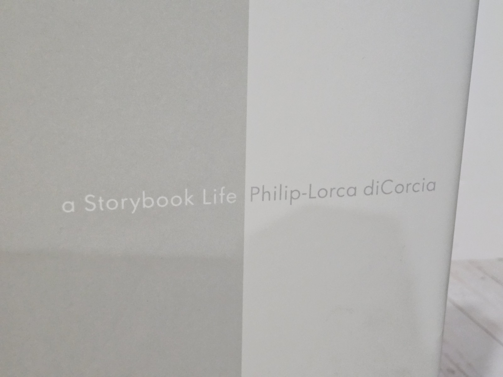 A STORYBOOK LIFE By Philip-lorca Dicorcia Hardcover Limited 3rd Edition Of 2000