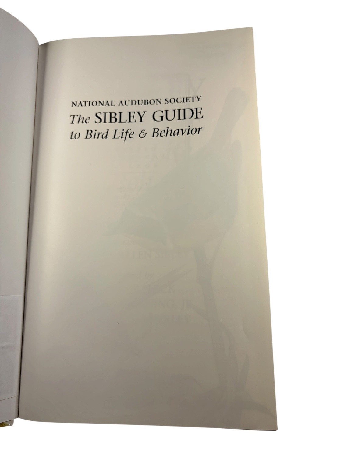 Sibley Guide to Bird Life & Behavior David Allen Sibley 2001 First Edition Knopf