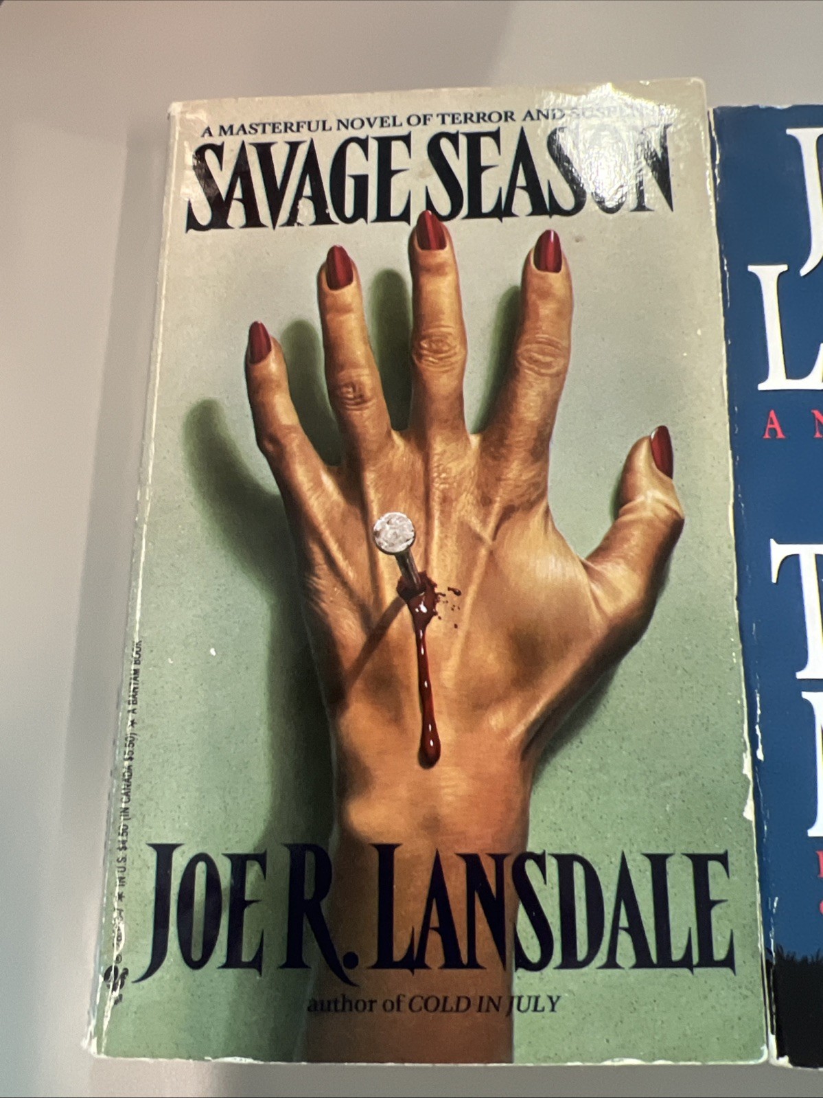 Joe R. Lansdale Hap & Leonard Lot Savage Season + The Two-Bear Mambo Paperback