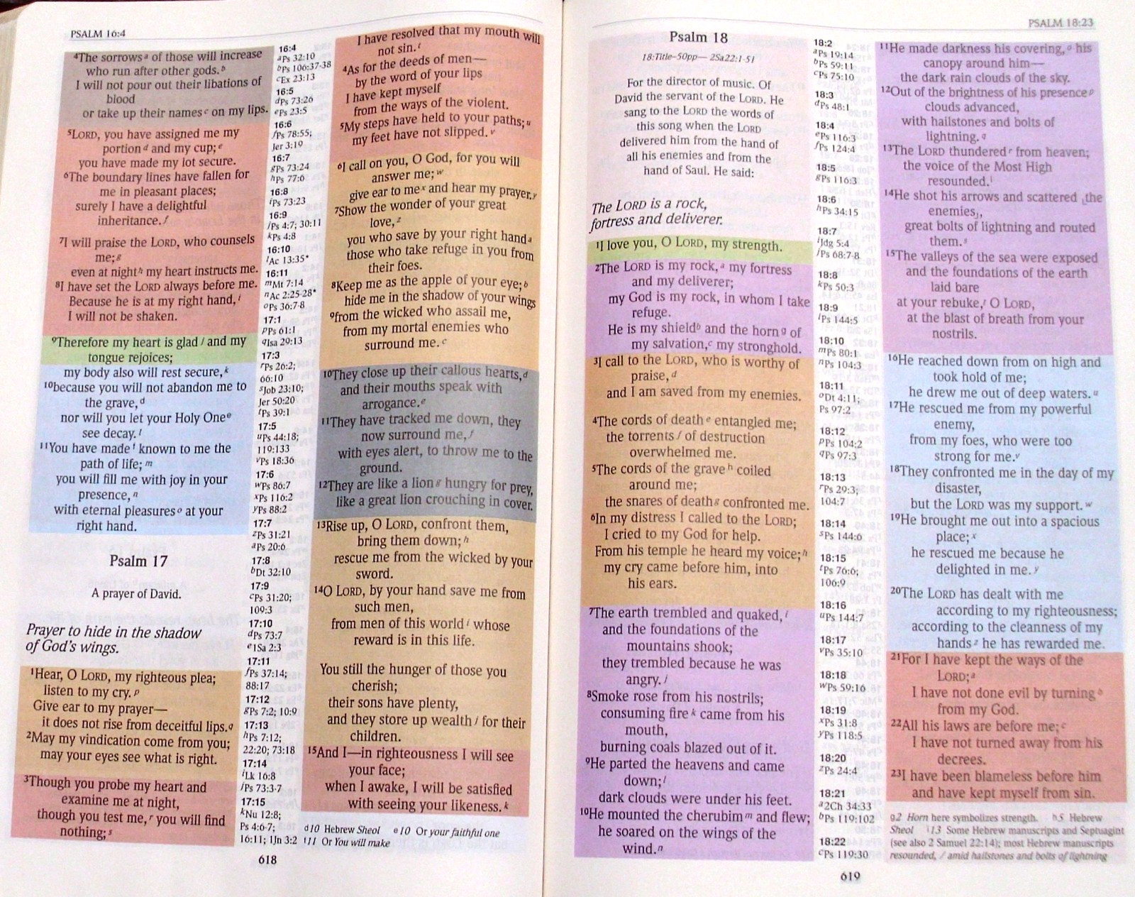 NIV RAINBOW STUDY BIBLE New International Version Faux Leather Bold Line Edition
