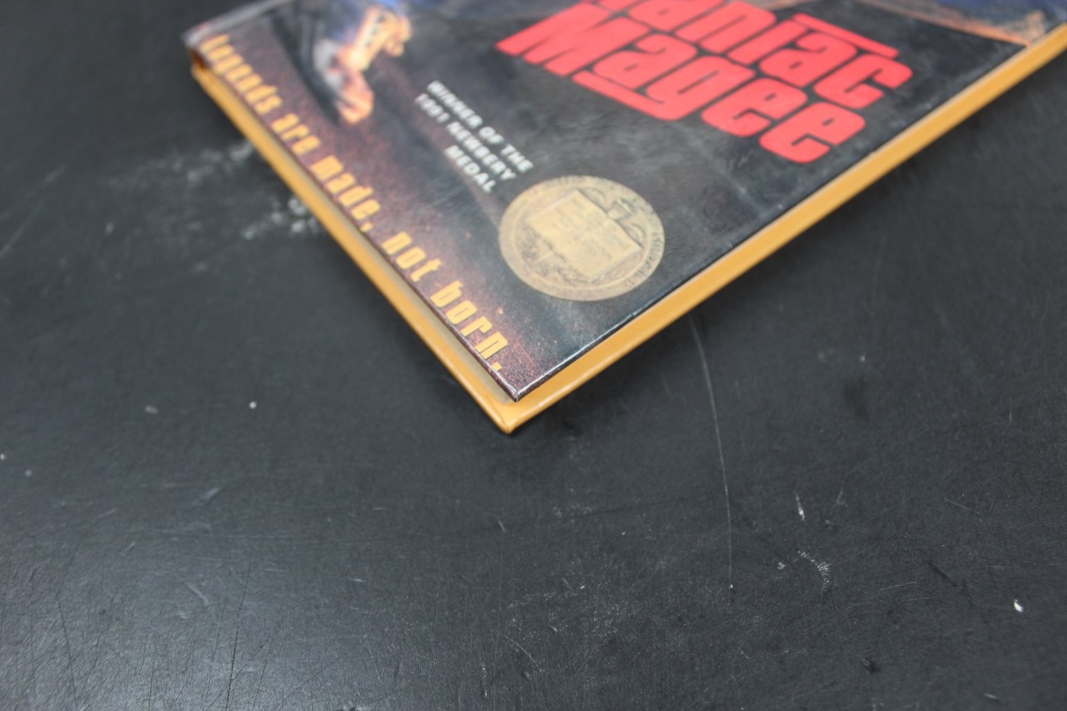 Maniac Magee Jerry Spinelli 1992 Newbery Medal HarperTrophy PERMA-BOUND