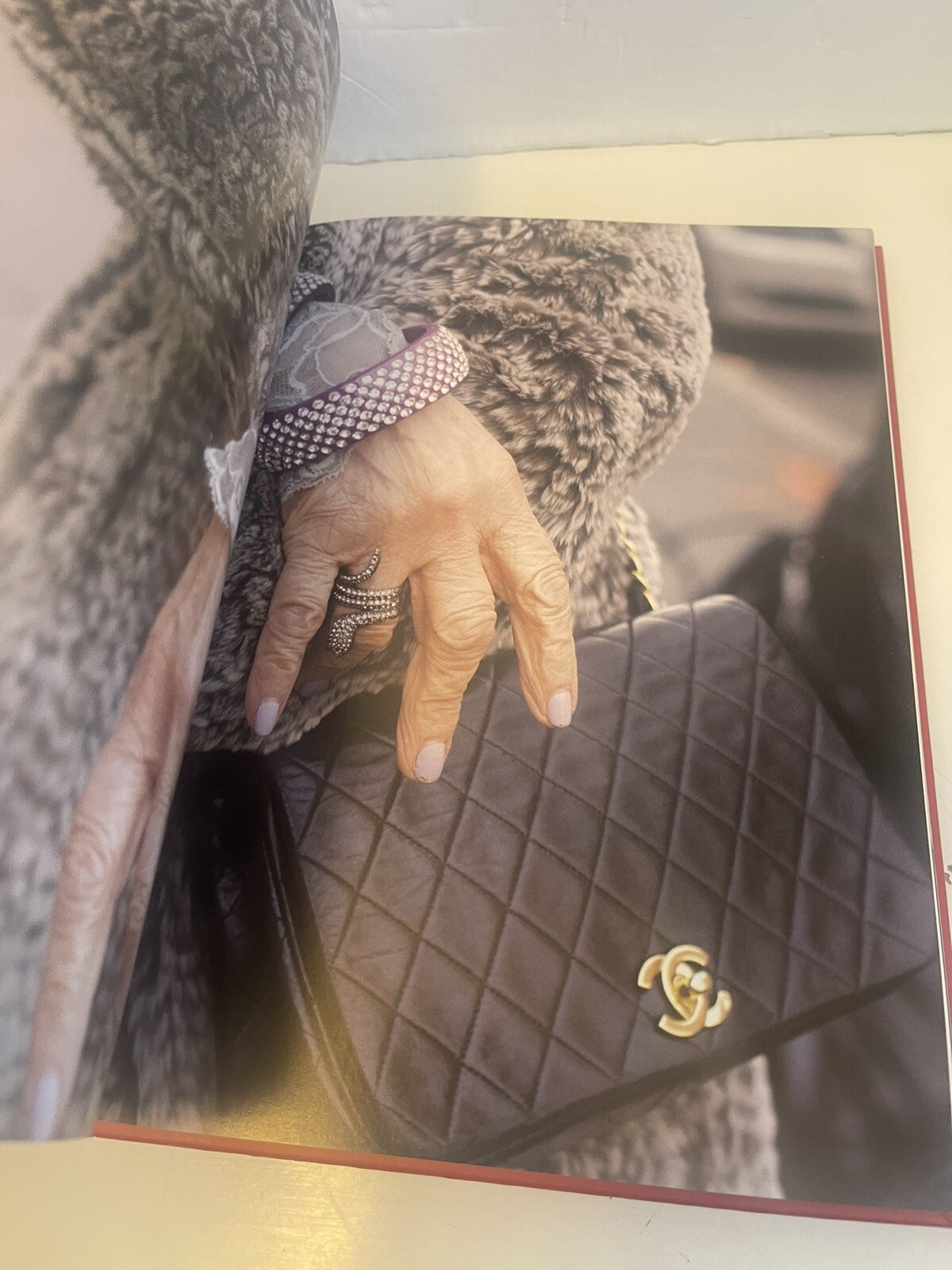 Advanced Style by Ari Seth Cohen (2012, Hardcover First Edition)