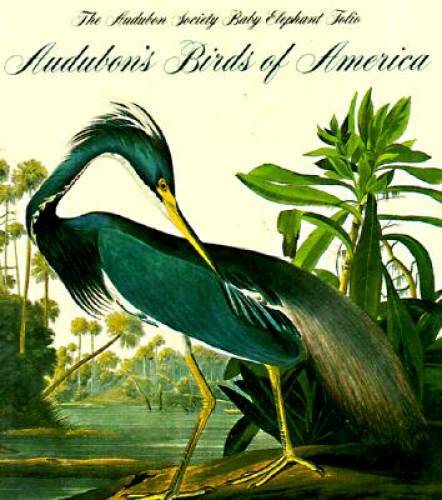 Audubon’s Birds of America (Tiny Folios) – Paperback – GOOD