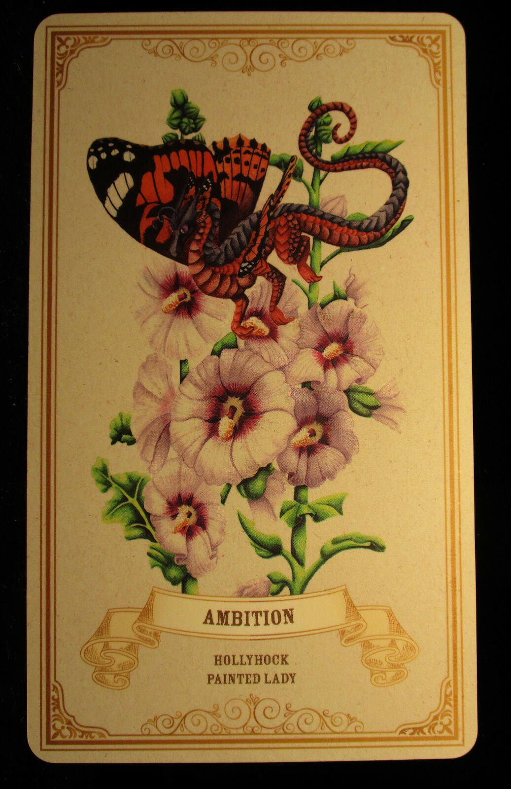 SEALED NEW ~ ENCHANTED BLOSSOMS CARDS & BOOK ORACLE DRAGONS BUTTERFLIES FLOWERS