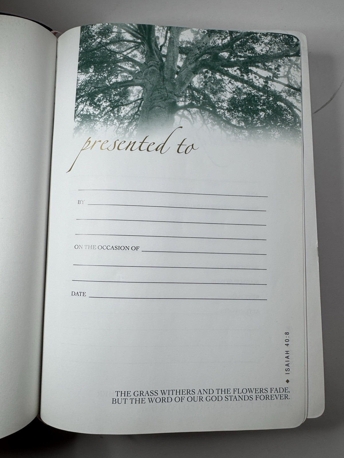Life Application Study Bible New Living Translation – Pink / Brown Cover + Case
