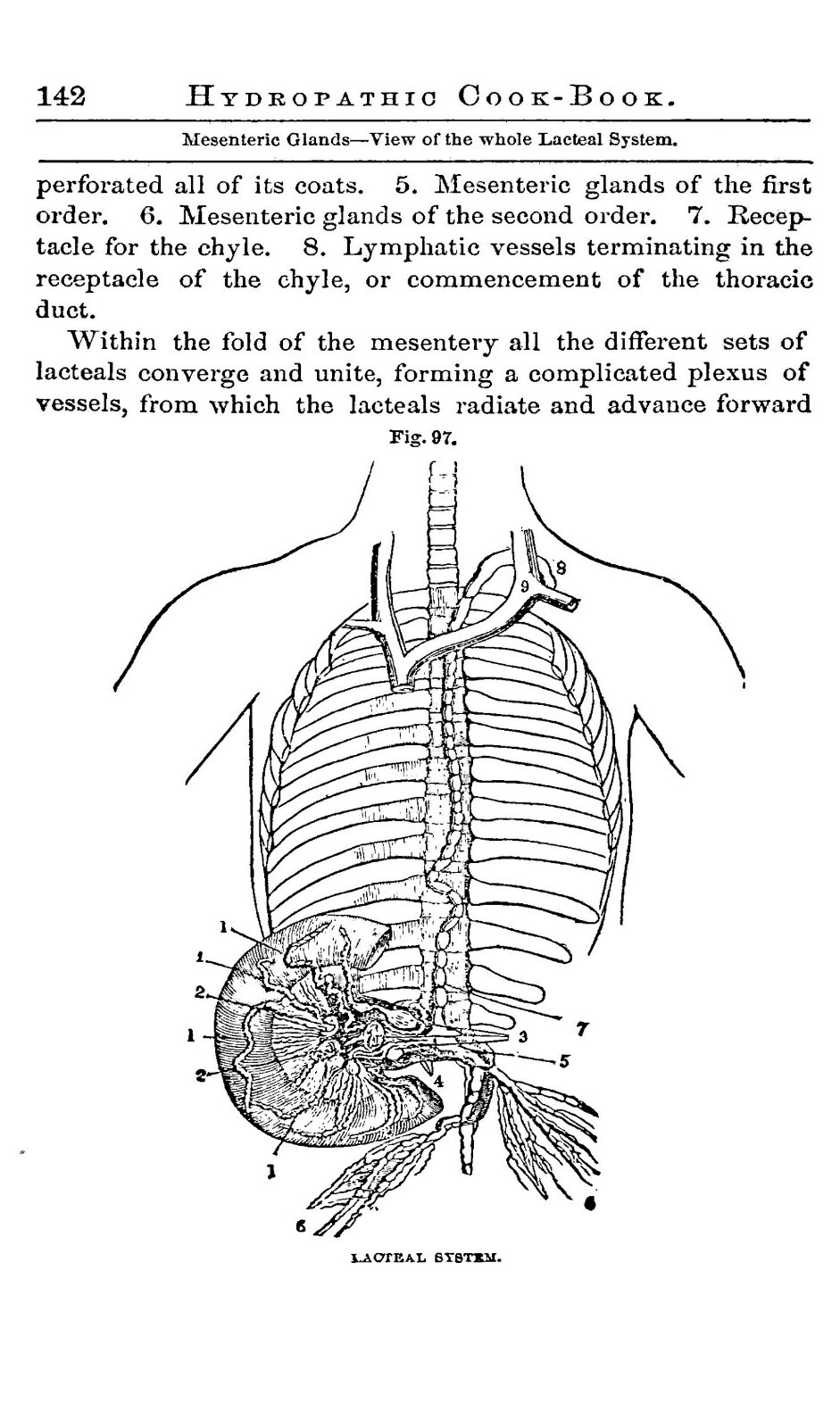 1857 Hydropathic Cook Book 226 Pages