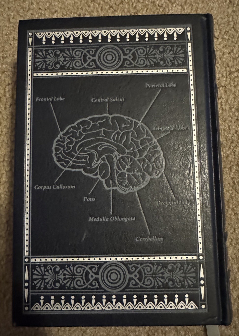 Gray’s Anatomy Blue Leather Bound Hardcover Book by Henry Gray H.V. Carter