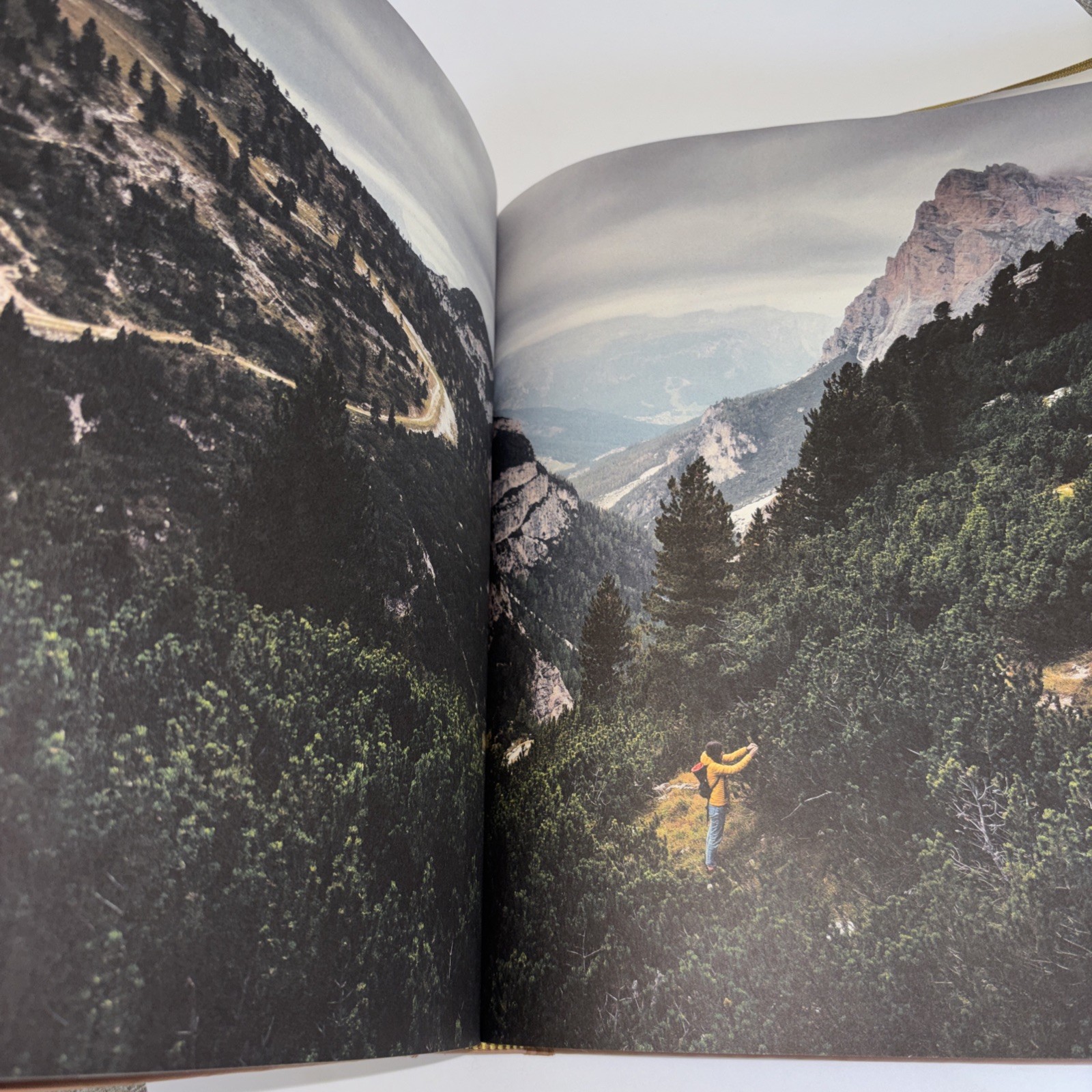 Norbert Biedermeier “Cook The Mountain” Book Prestel ISBN# 978-3-7913-8716-1