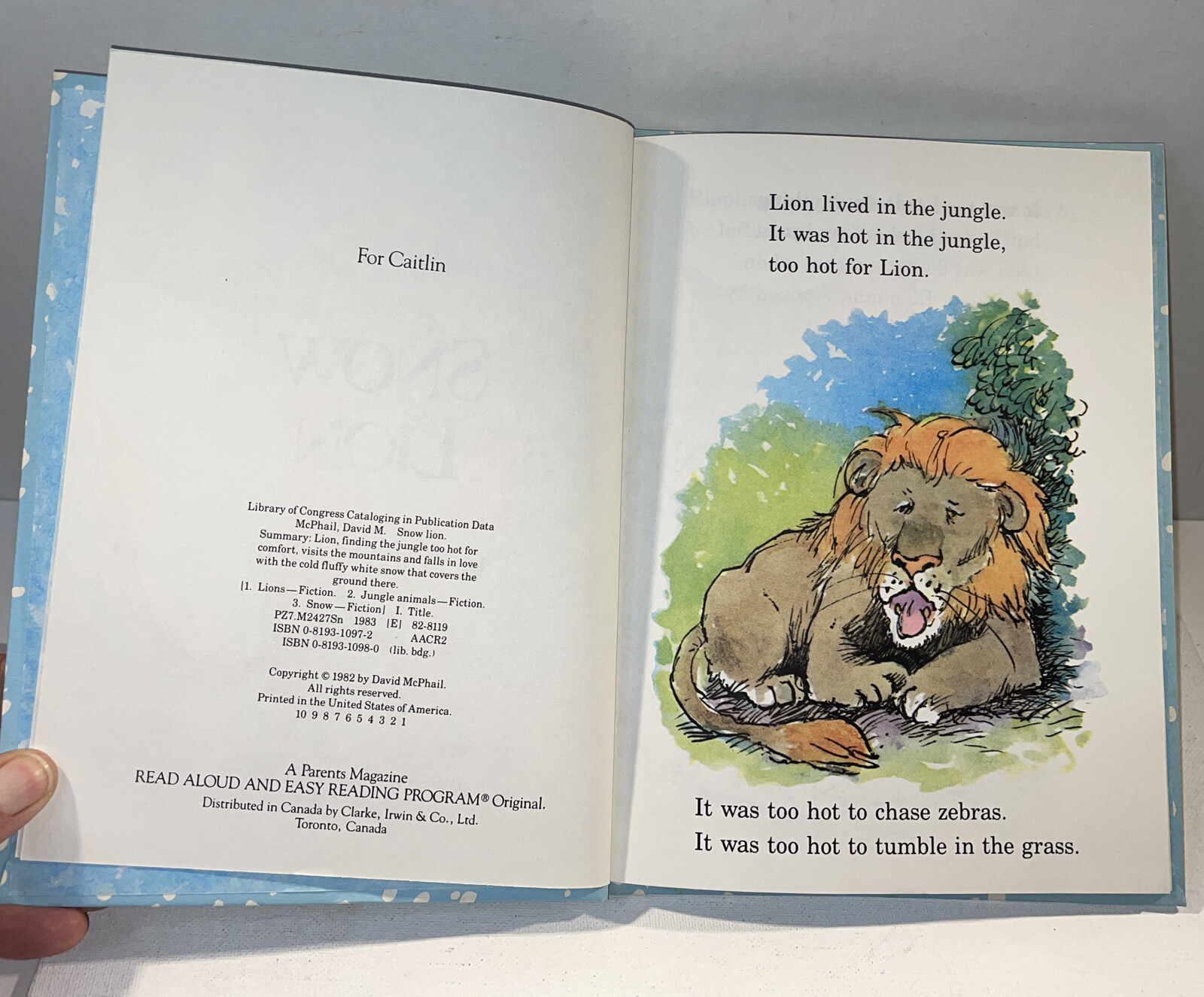 VTG Snow Lion Hardcover David M. McPhail Parents Magazine Press 1982 Read Aloud
