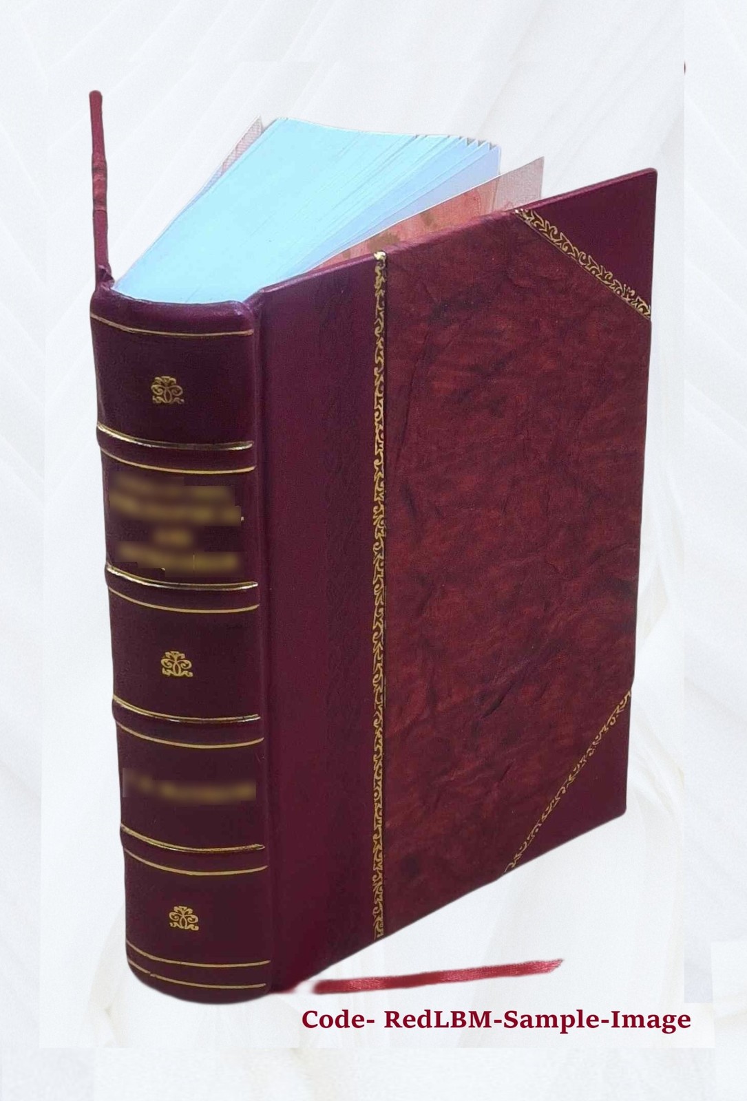 Vitalogy, or, Encyclopedia of health and home adapted for home a [Leather Bound]