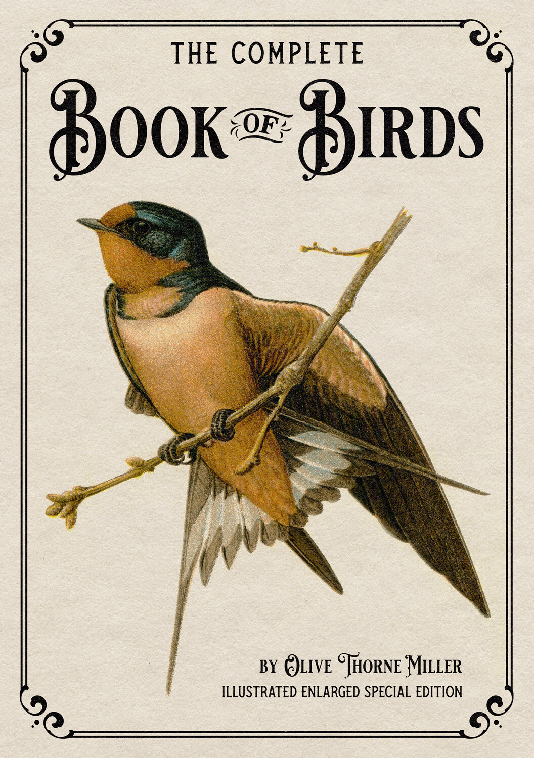 The Complete Book of Birds: Illustrated Enlarged Special Edition *NEW*
